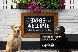 15 top dog friendly restaurants in nyc
