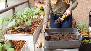 Raised Bed Garden