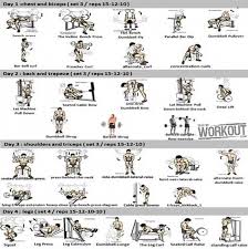 4 Days Full Body Workout Plan Healthy Fitness Chest Back