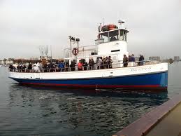 Image result for Fish Whale Watching & Charters