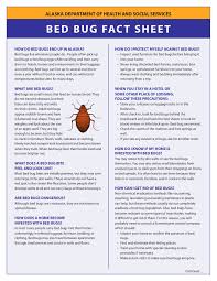 bed bug fact sheet alaska department