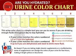 What Do The Different Shades Of Your Urine Mean Quora