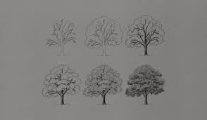 trees drawing tutorials art