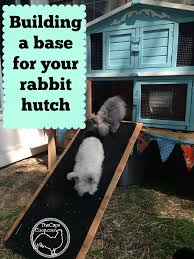 building a raised base for a rabbit hutch