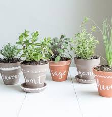 10 Tiny Herb Garden Ideas That Will Fit