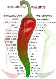 All About Chile Chili Chilli The Low Fodmap Diet
