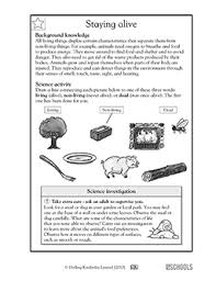 5th grade science worksheet