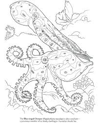 Surfnetkids » coloring » animals » fish and marine mammals » giant squid. Colossal Squid Octonauts Coloring Page Collection Of Octonauts Clipart Free Download Best Octonauts Katy Baebaebox Com