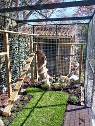 smartly organized cat enclosures