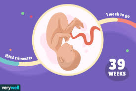 39 weeks pregnant baby development