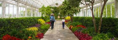 new york botanical garden with kids