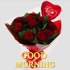 good morning rose images wallpaper