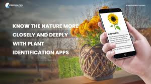 plant identification apps