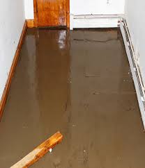 Damage Can Water Do To A Basement