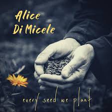 every seed we plant al by alice di