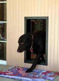 Automatic Dog Door Locking Dog Door