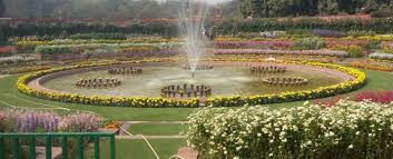 mughal garden delhi timings photos