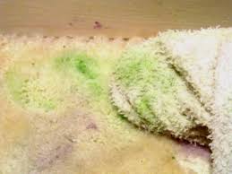 how to get dried paint out of carpet no