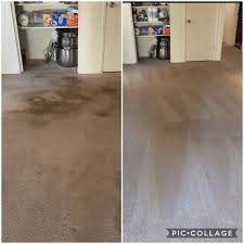carpet cleaning quality carpet