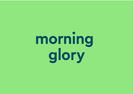 After reading a long piece of writing, so is a good conclusion. What Does Morning Glory Mean Slang By Dictionary Com