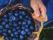What is the best berry for diabetics to eat?