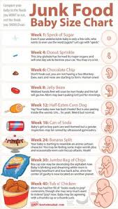 Junk Food Baby Size Chart Babycenter