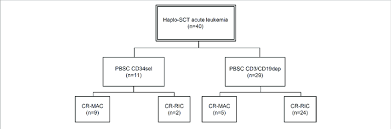 Flow Chart With Patient Classification Abbreviations Haplo