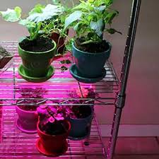 Grow light stand with adjustable height. Create A Diy Indoor Grow Light System The Home Depot
