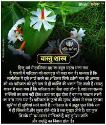 Vastu Tips For Planting Parijat Tree