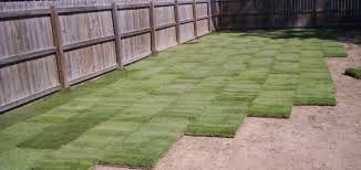Please bring the pallet back to any jacksonville or fernandina beach location to receive the $11. Zeon Zoysia Without The Middle Man Mark Up Farm To Home Delivery The Grass Outlet