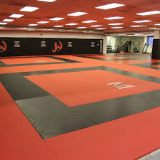 martial arts training facility mats