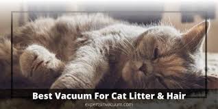 best vacuum for cat litter and hair