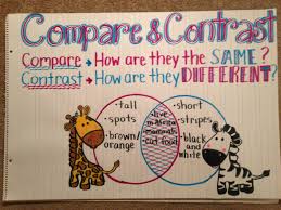 Compare And Contrast Anchor Chart Kindergarten Anchor