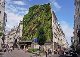 Of Aboukir Green Wall By Patrick Blanc