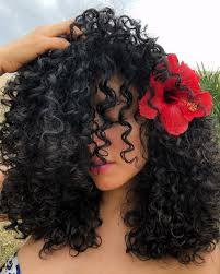 Here are the most fashionable black curly hairstyle ideas for hair of different length. Curly Haircut Kitchener Curly Hairstyles Unique Short Curly Hairstyles Japanese Curly 70 In 2020 Curly Hair Styles Naturally Curly Hair Styles Natural Hair Styles
