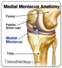al meniscus