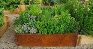 Tips How To Maintain Herbs Garden On