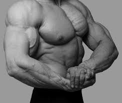fat blasting bodybuilding workout plan
