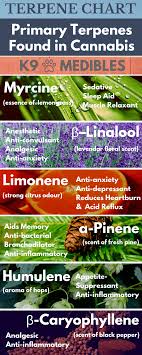 A Comprehensive List Chart Of Cannabis Terpenes Simply
