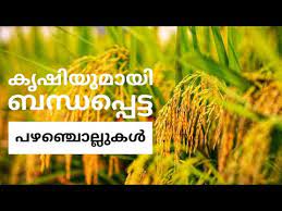 Current affairs 2019 & psc gk 2019 best for: Malayalam Pazhamchollukal 2020 à´• à´· à´¯ à´® à´¯ à´¬à´¨ à´§à´ª à´ª à´Ÿ à´Ÿ à´ªà´´à´ž à´š à´² à´² à´•àµ¾ Youtube