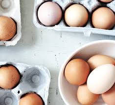 why eggs are a weight loss food