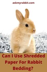 paper bedding safe for rabbits