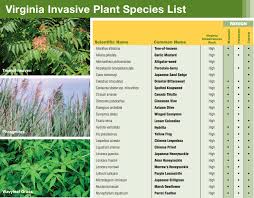 Updates To State Regulations And Resources On Invasive Plants