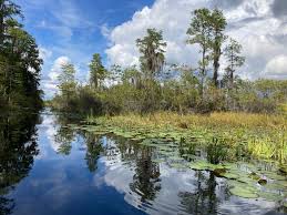 kayaking in the okefenokee sw offers