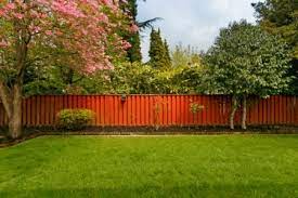 Fence Colour To Make The Garden Look