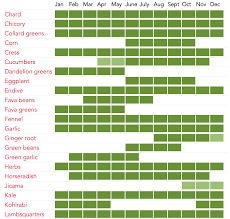 Katherines Environmental Health Blog 6 7 Obesogens