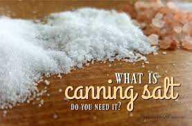 what is canning salt and do you need it