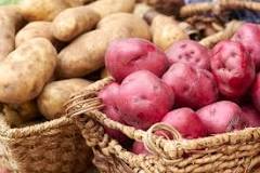 Do red potatoes taste the same as regular potatoes?