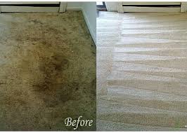 desert rose carpet cleaning in little