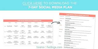 6 Cleaver Social Media Marketing Strategy Template Images